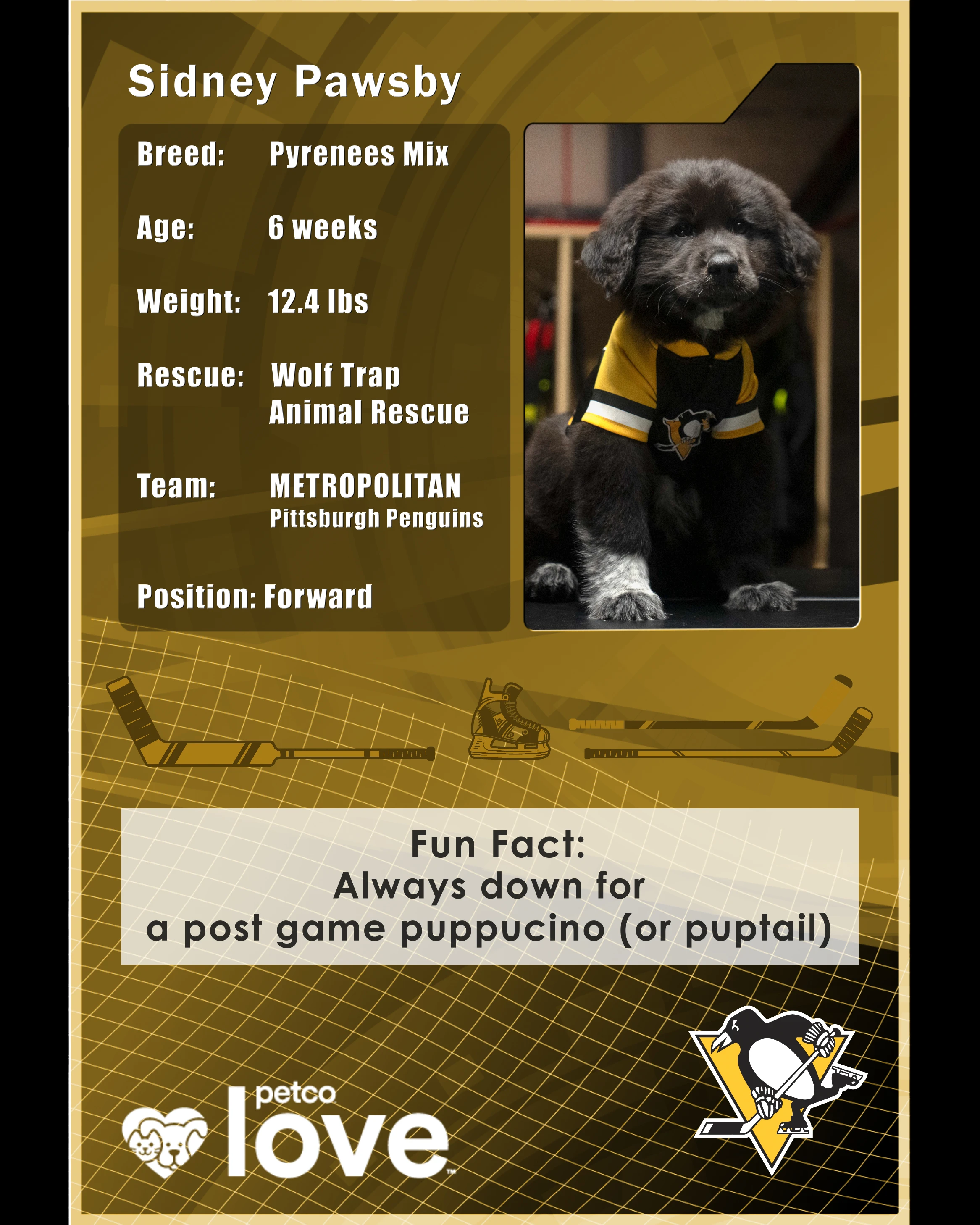 Stanley Pup Cian O'Clery aka Sidney Pawsby player card back