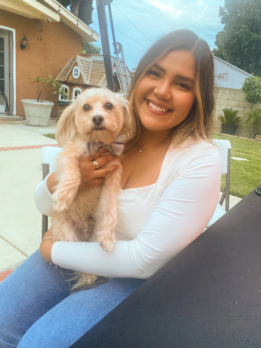 Image of Ziggy + Surely