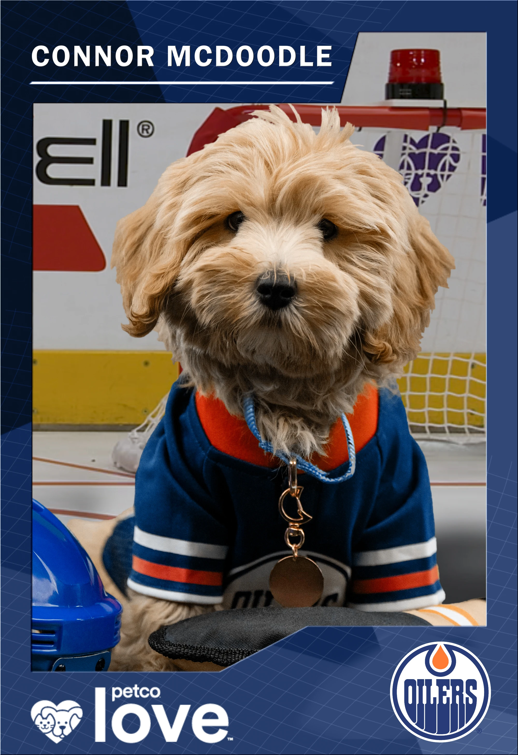 Card 16 EDMONTON OILERS Front (1)