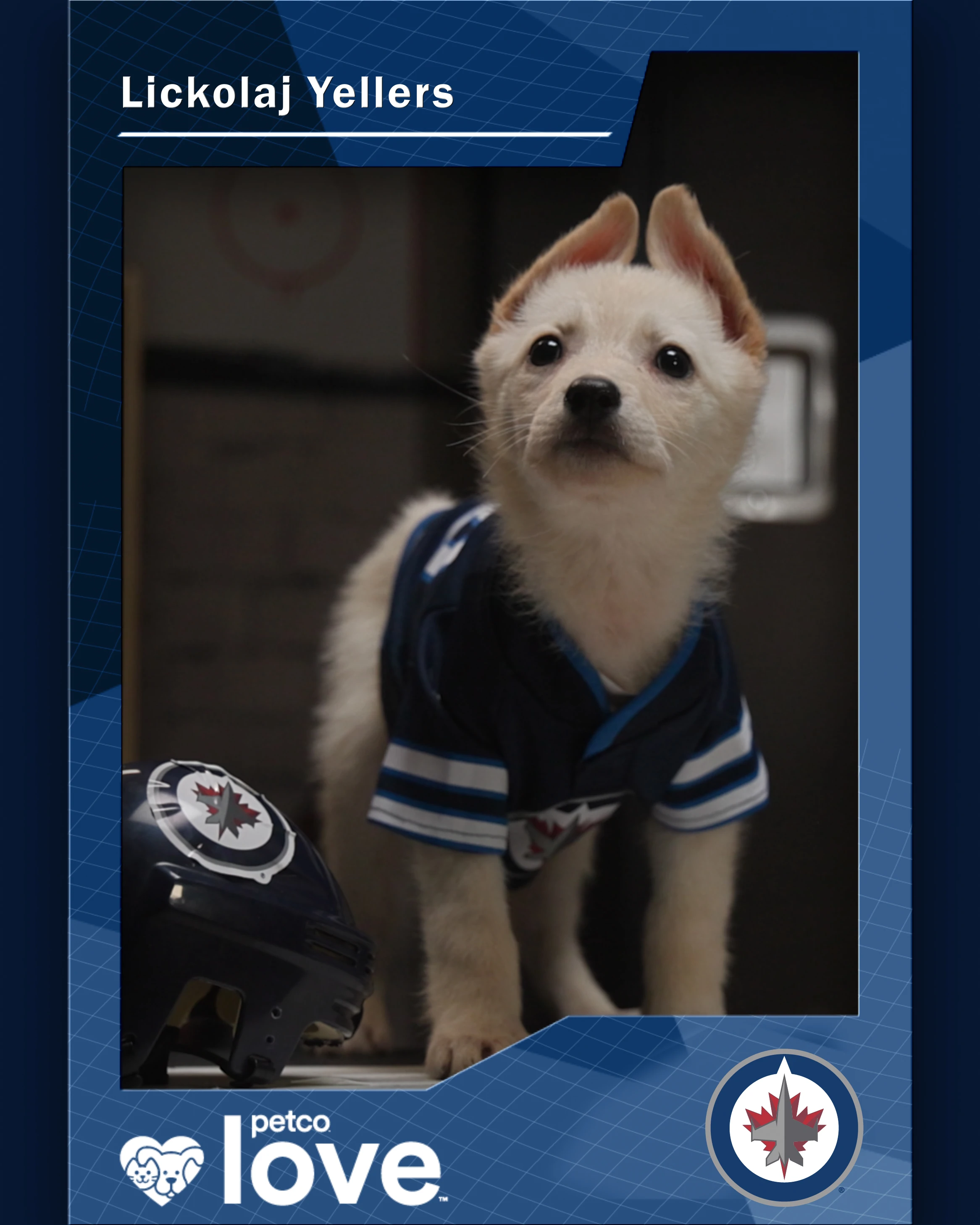 Stanley Pup Arizona aka Lickolaj Yellers player card front