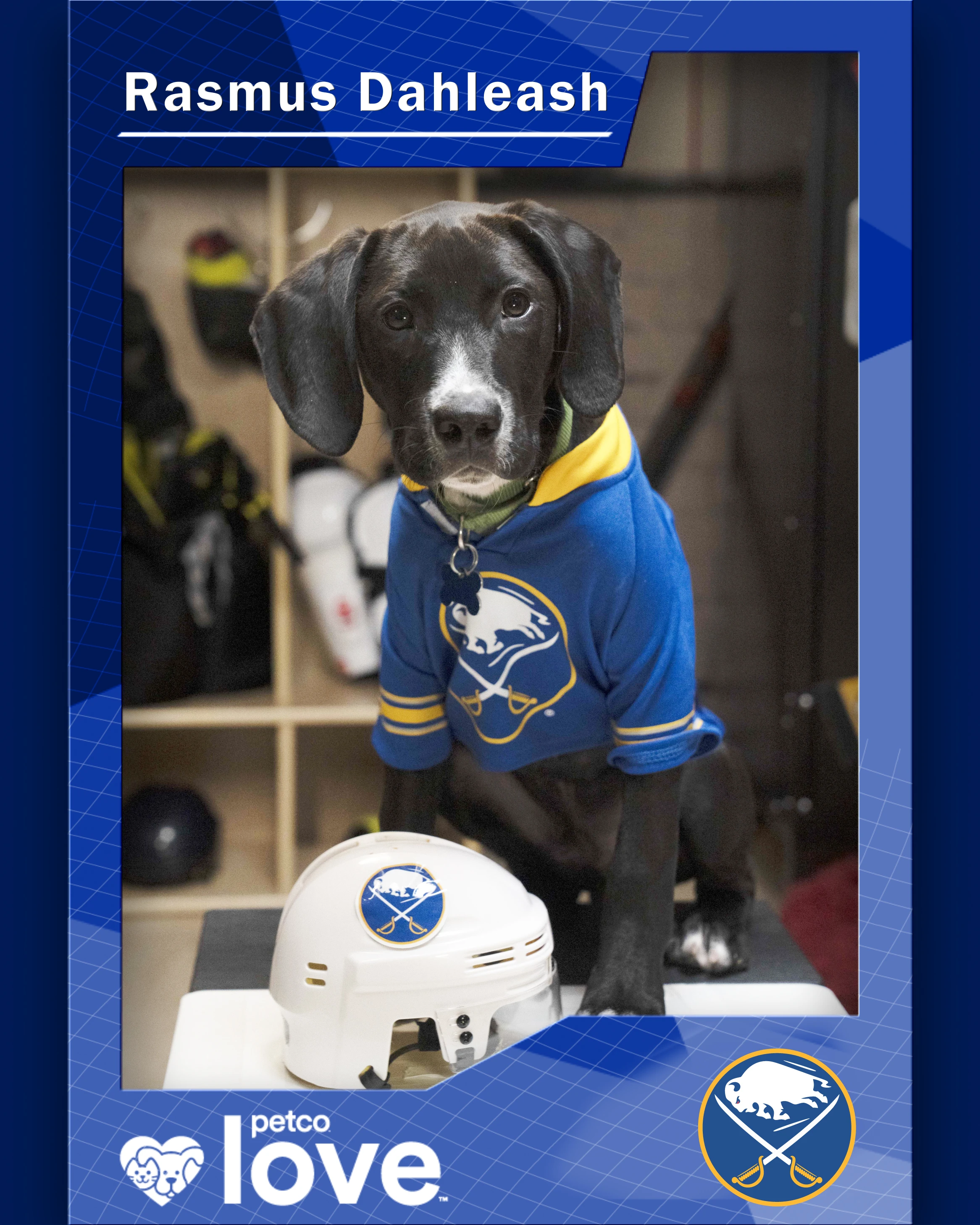 Stanley Pup Wyatt aka Rasmus Dahleash player card front