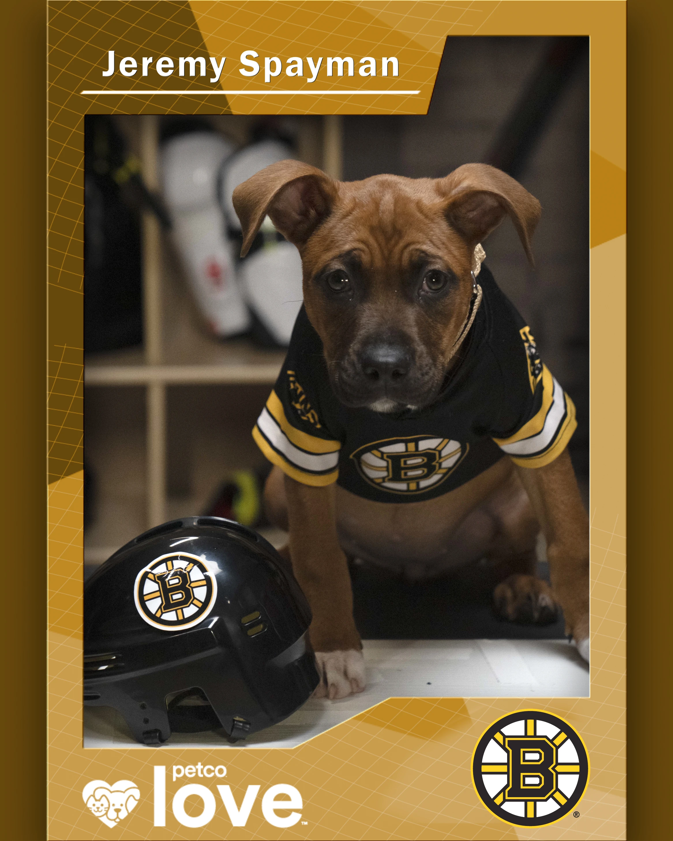 Stanley Pup Trinity aka Jeremy Spayman player card front