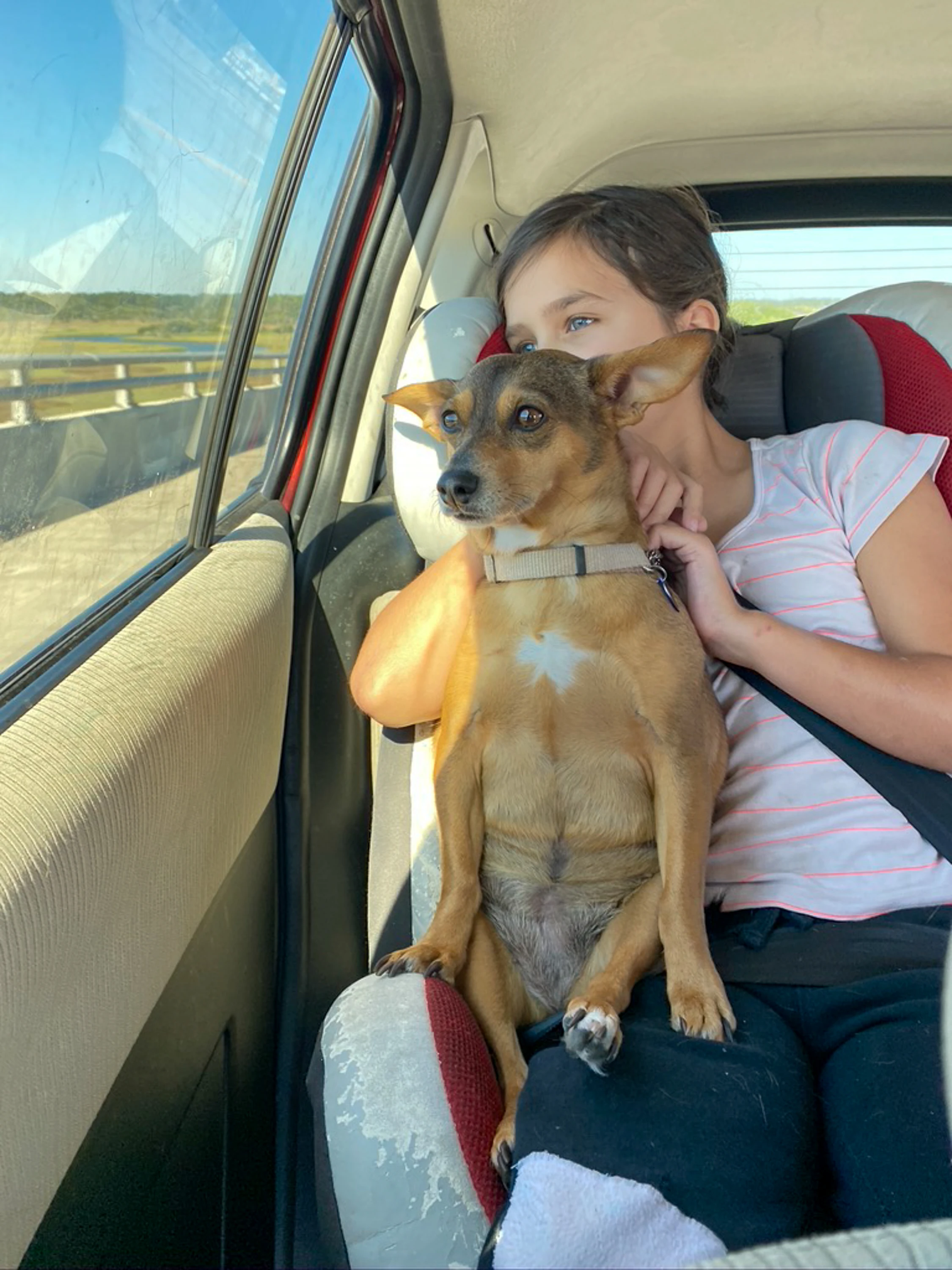 Caroline + Margo In Car