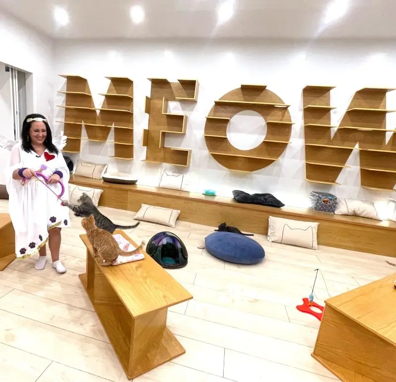 Love Stories Submissions release image