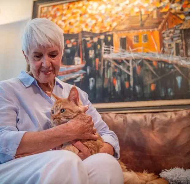 Ntl Good Neighbor Day release image