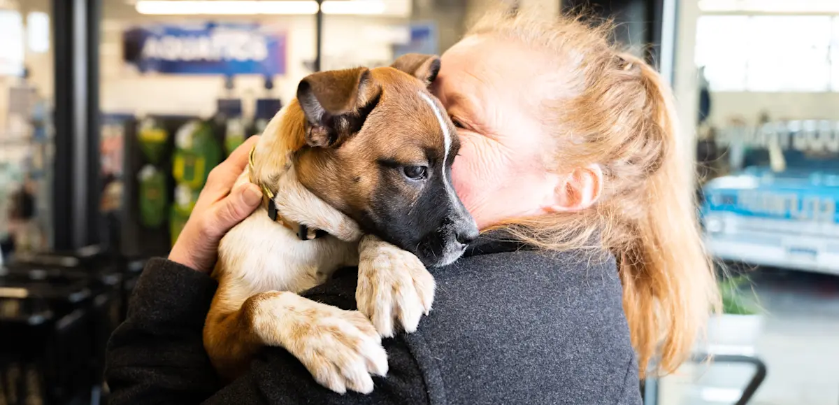 Pet Adoption Stories Petco Love Adopt pet-adoption-stories-petco-love-adopt