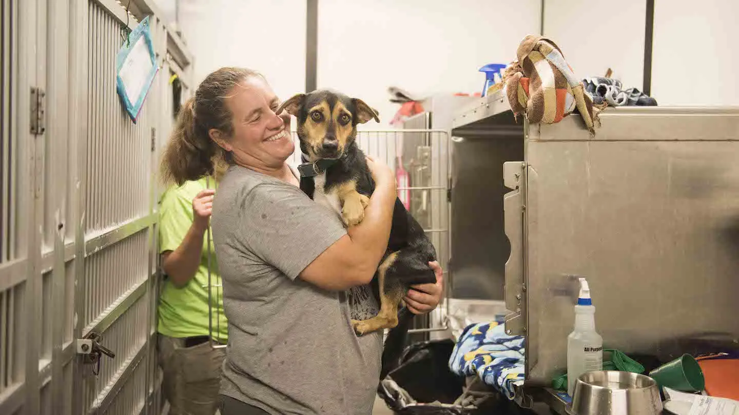 Woman With a Dog at a Shelter