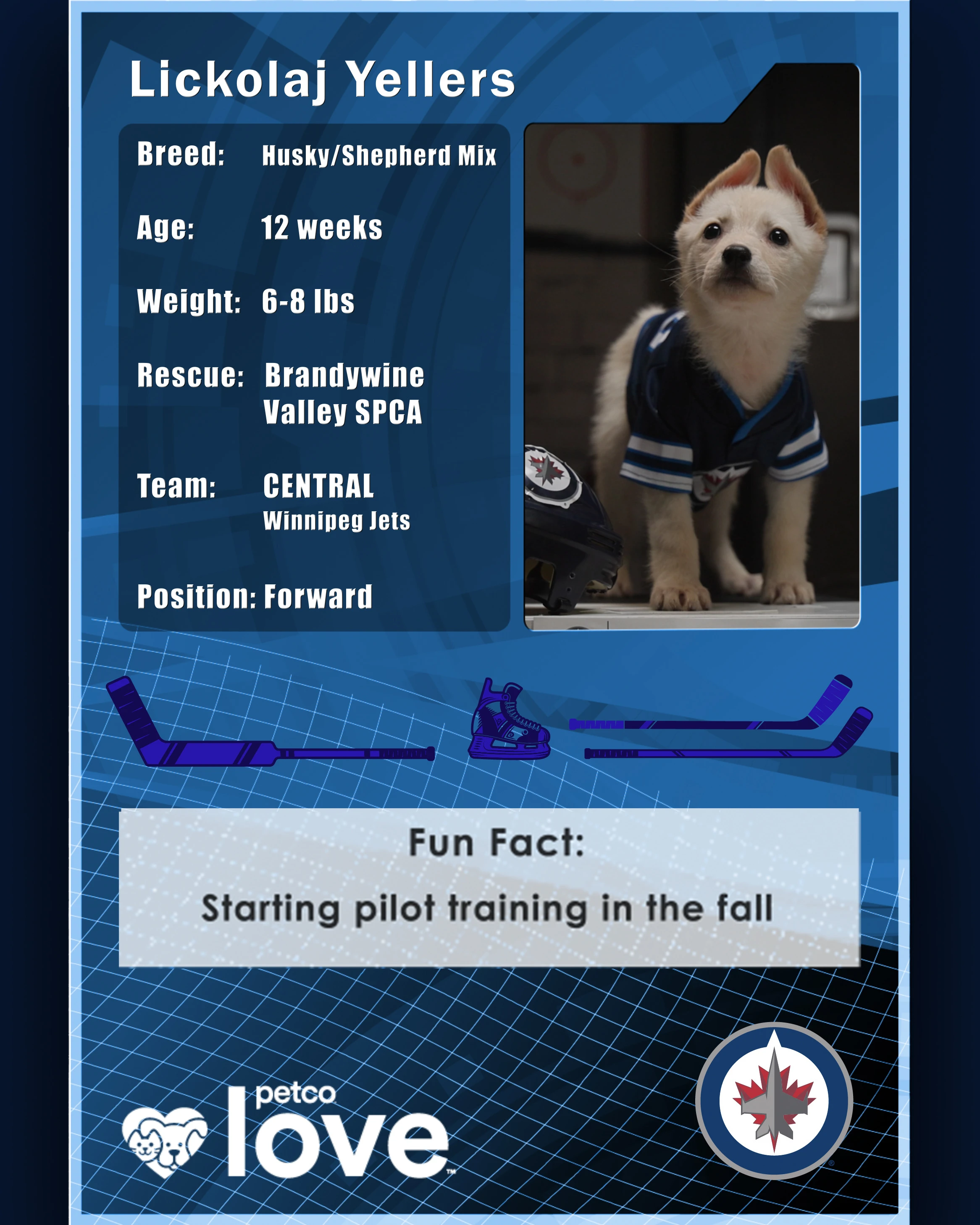 Stanley Pup Arizona aka Lickolaj Yellers player card back