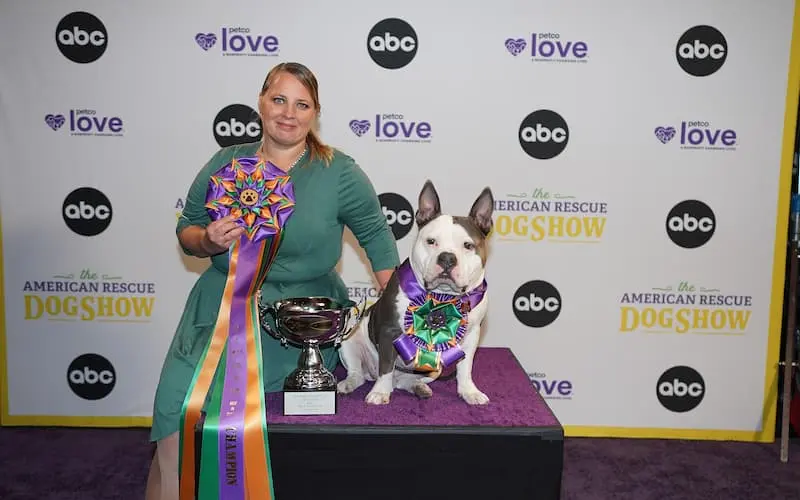 Petco Love A Snoring Pitbull Wins the Championship Title “Best in