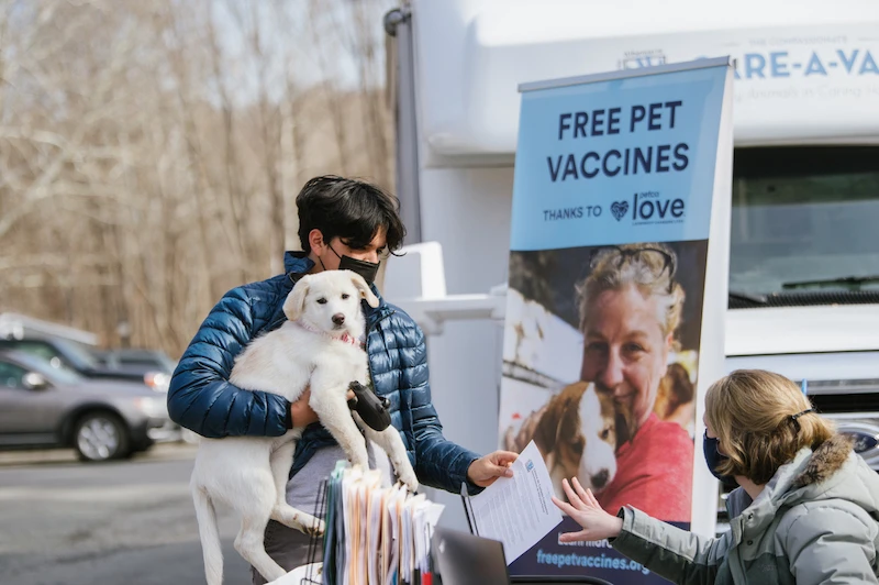 How Much Are Puppy Vaccinations At Petco