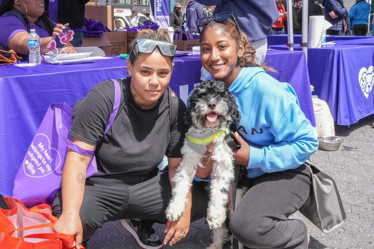 NYC Adoption Event Hero Image Dog + People