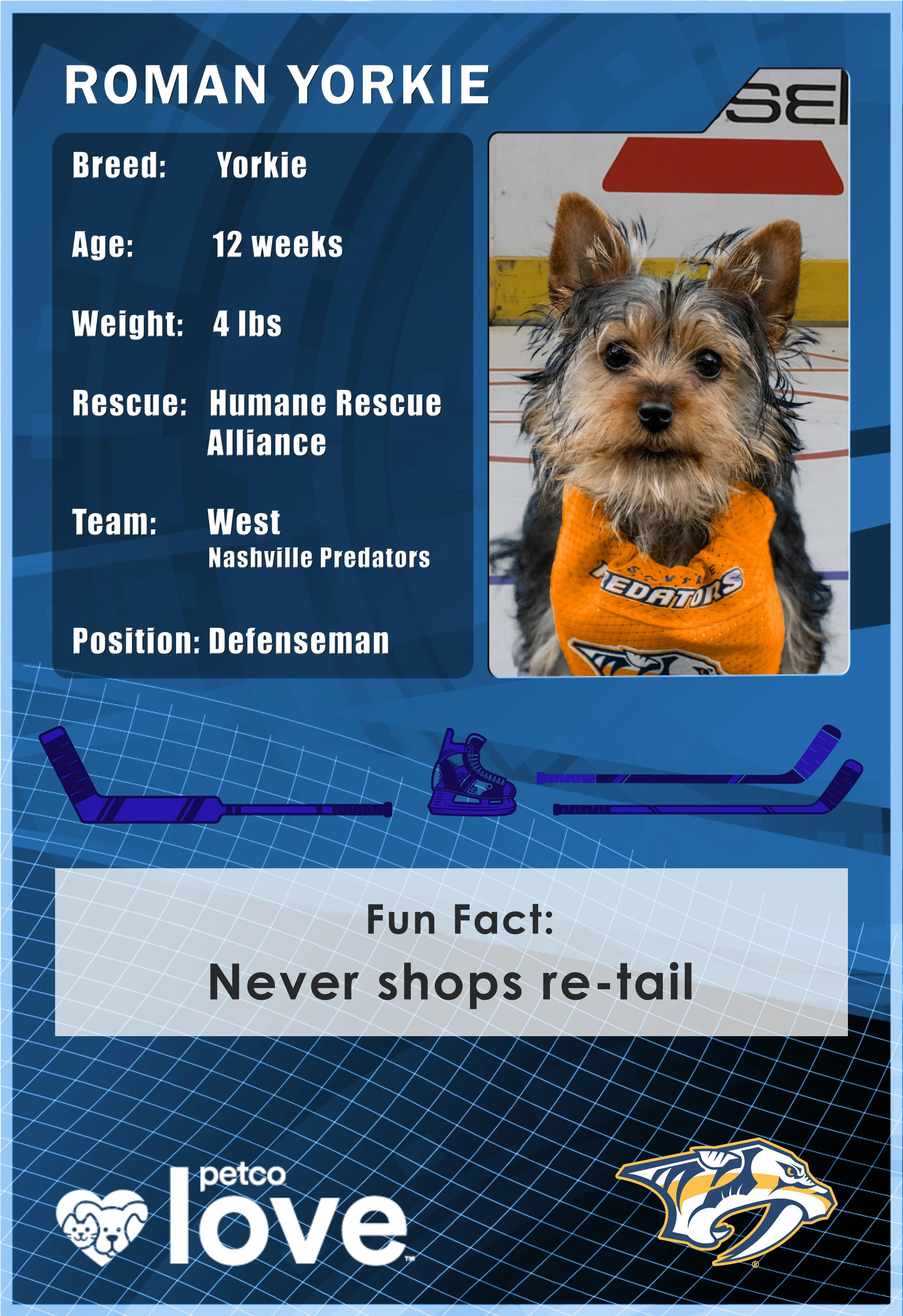 RAIDER aka Roman Yorkie