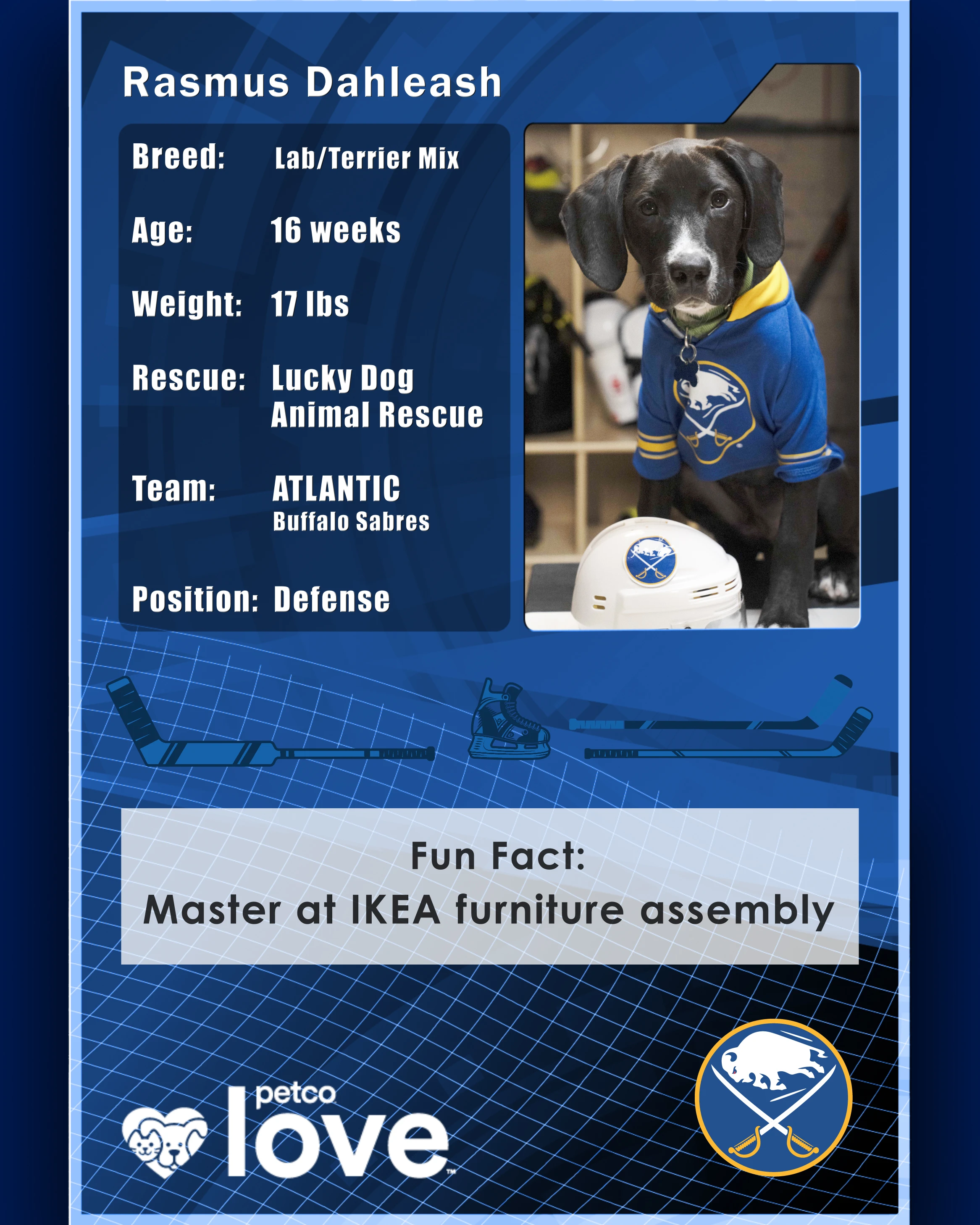 Stanley Pup Wyatt aka Rasmus Dahleash