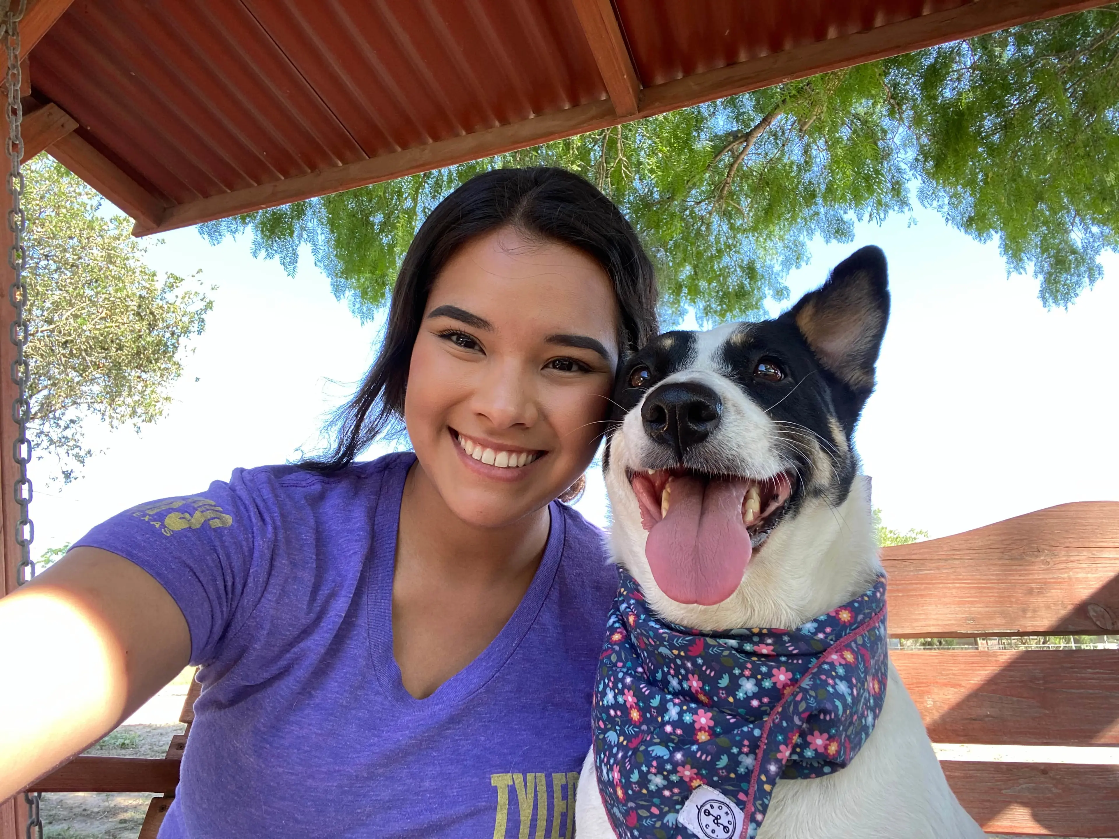 Image of Pet Fostering Options for Every Lifestyle: Choose the One That’s Right for You