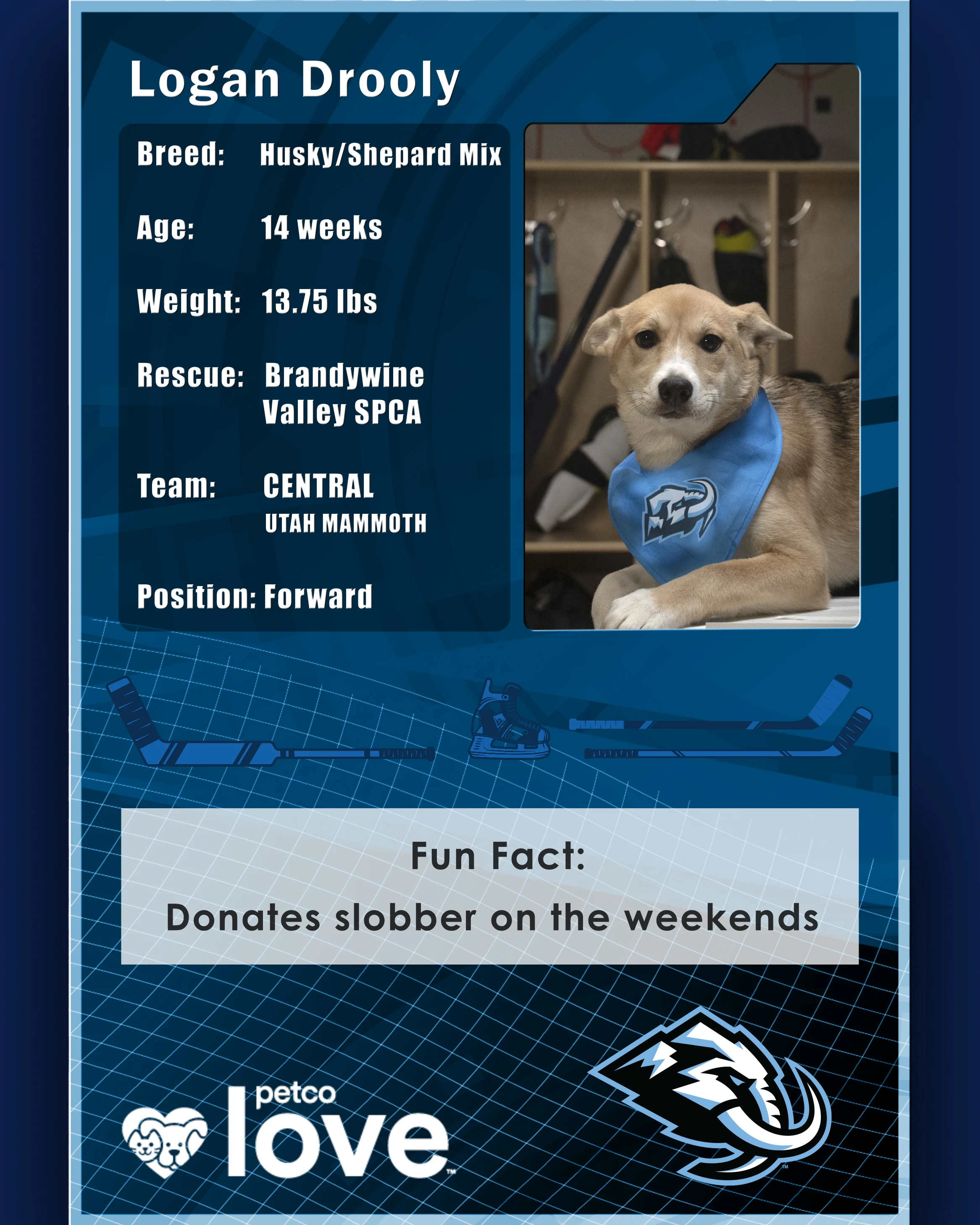 Stanley Pup Stephanie aka Logan Drooly player card front