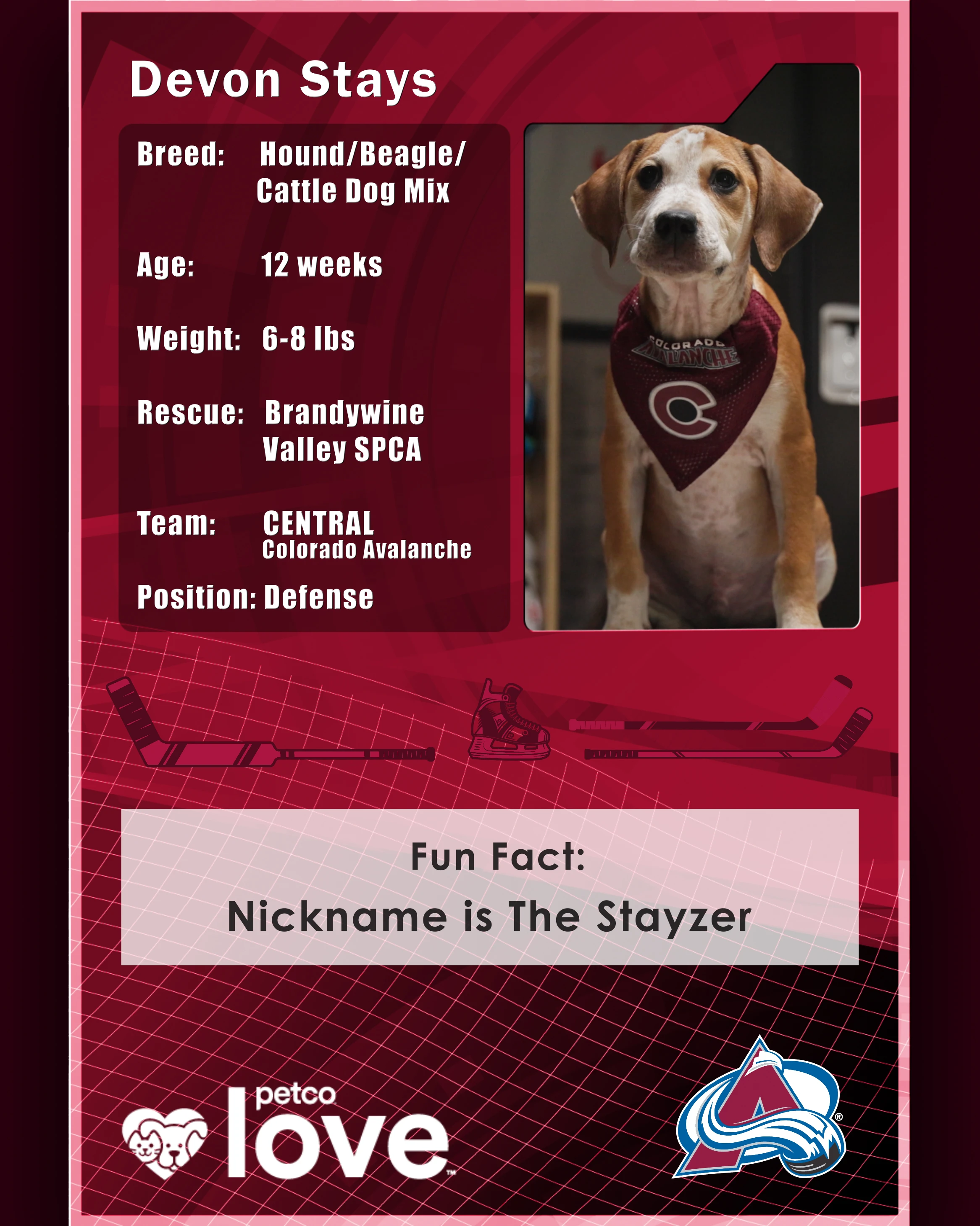 Stanley Pup Ashe aka Devon Stays player card back