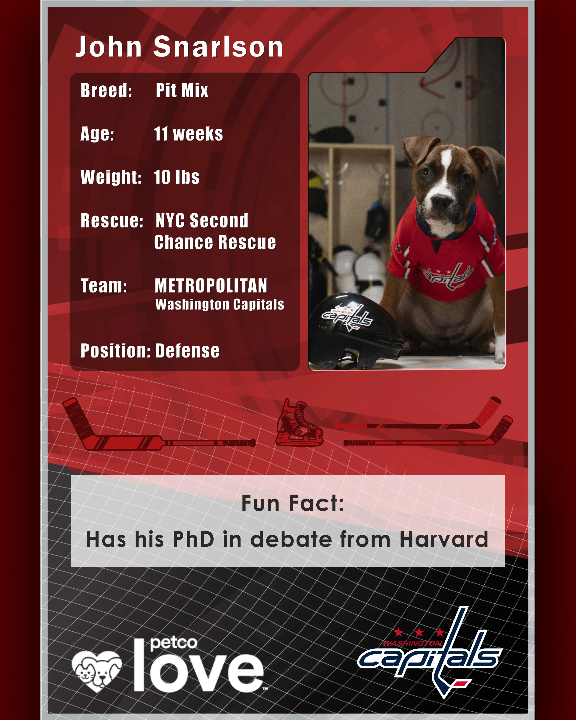 Stanley Pup Chelsea aka John Snarlson player card back