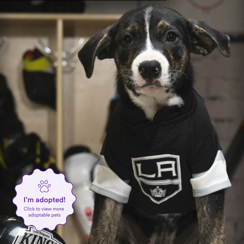 Image of Howlitzer aka Drew Doggy