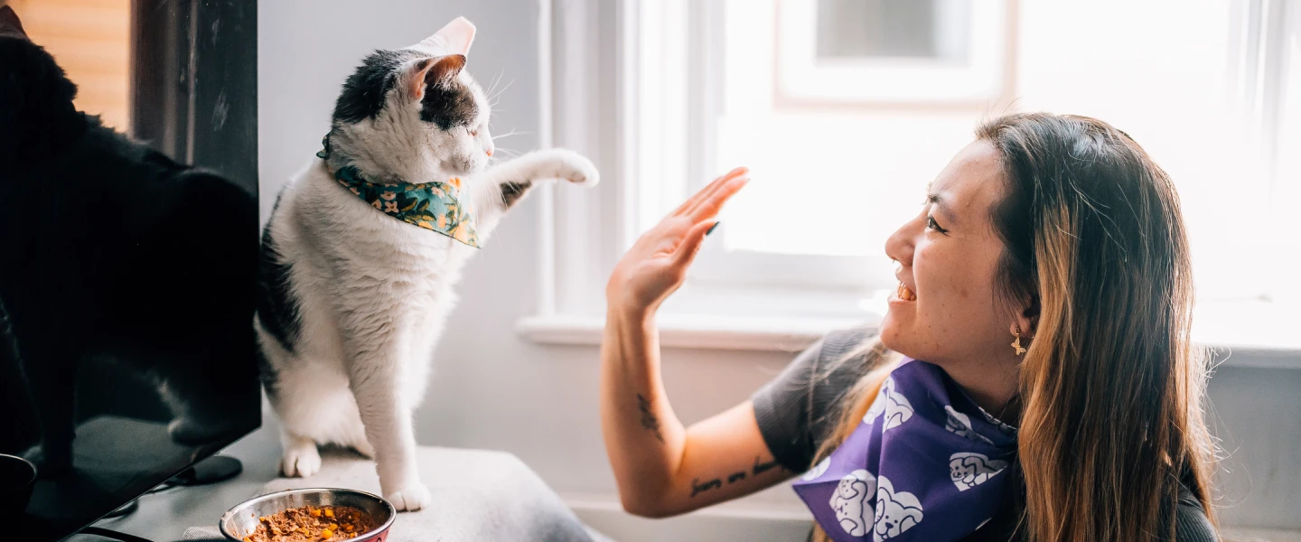 Hi five woman with cat