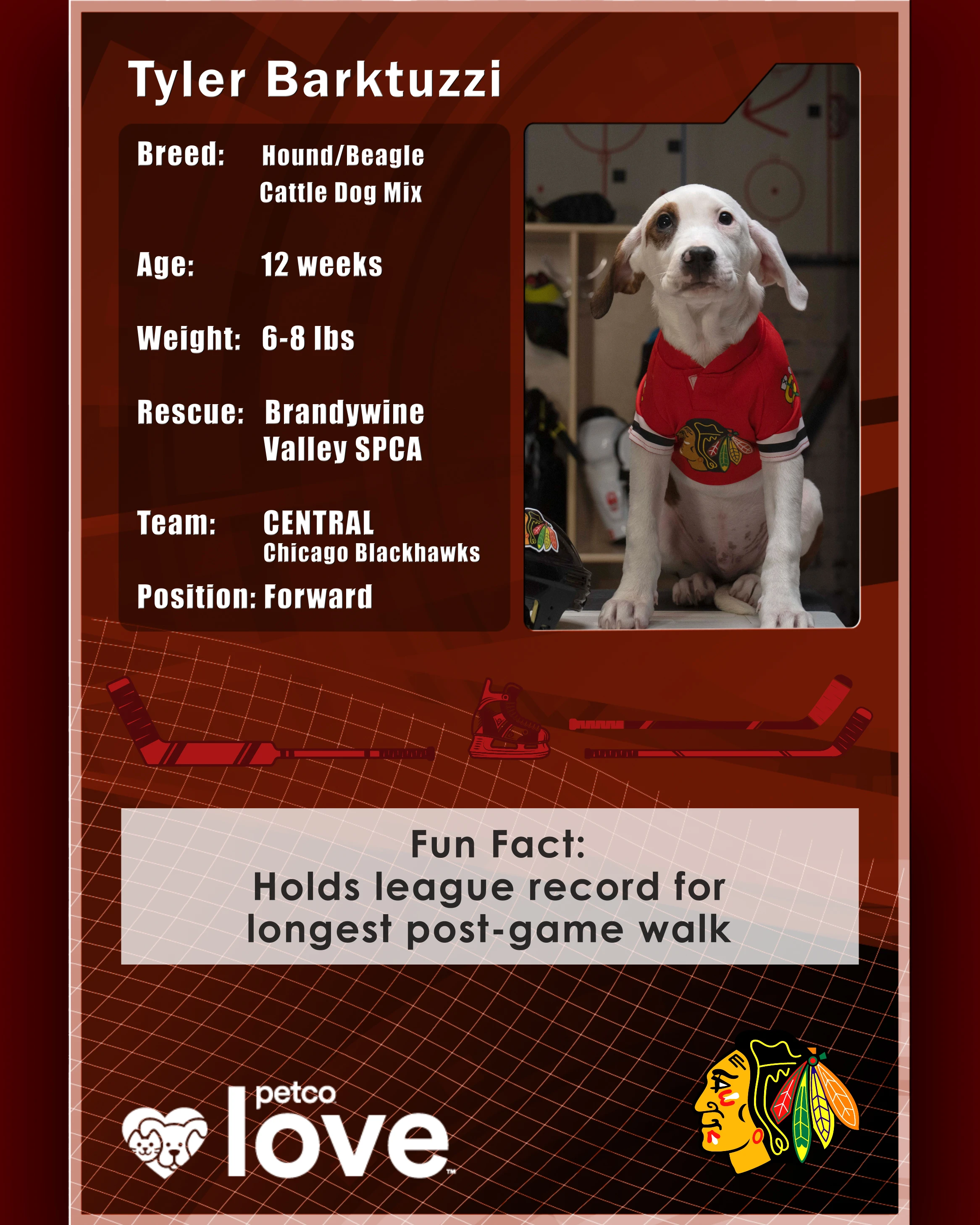 Stanley Pup Bud aka Tyler Barktuzzi player card back