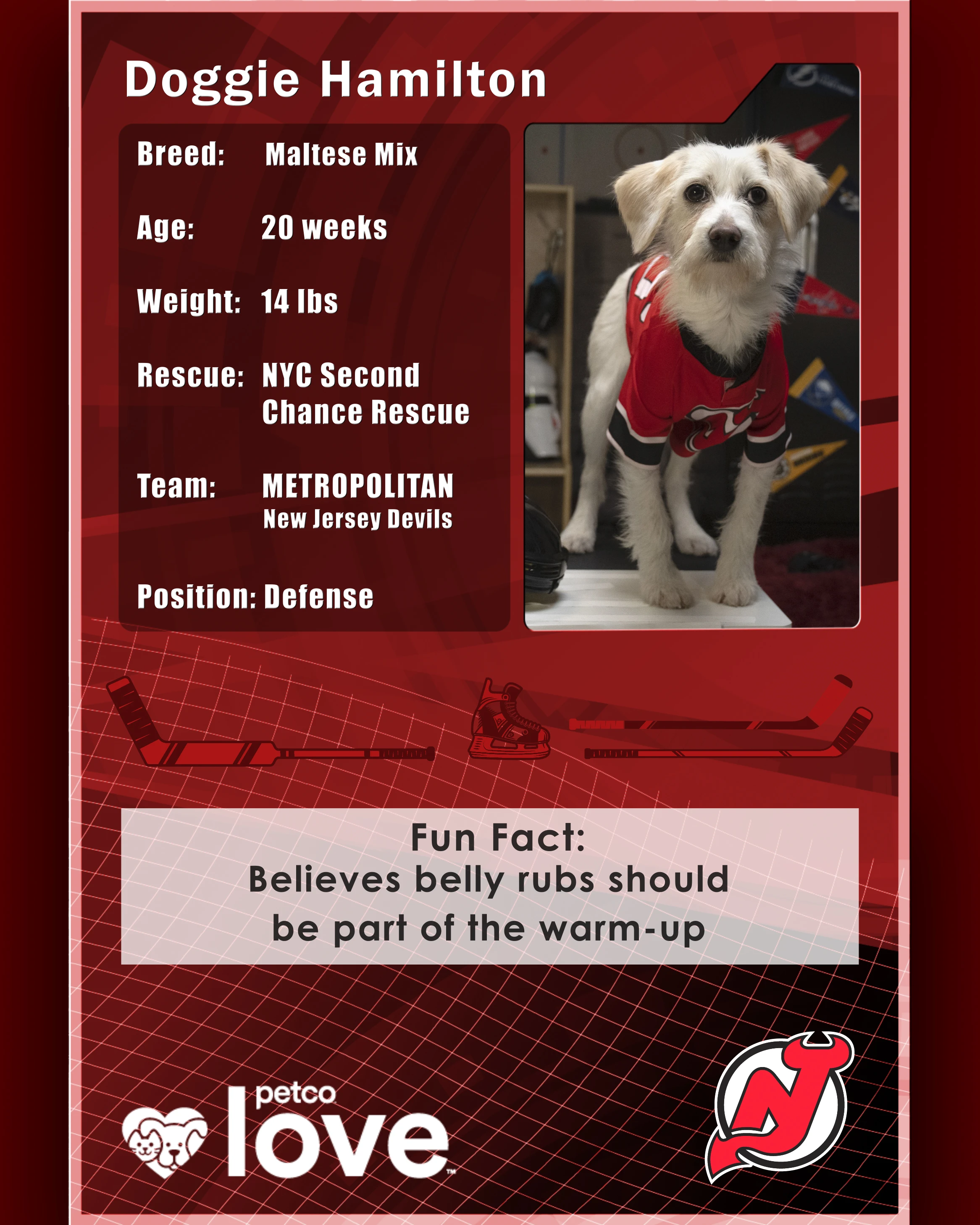 Stanley Pup Meadow aka Doggie Hamilton player card back