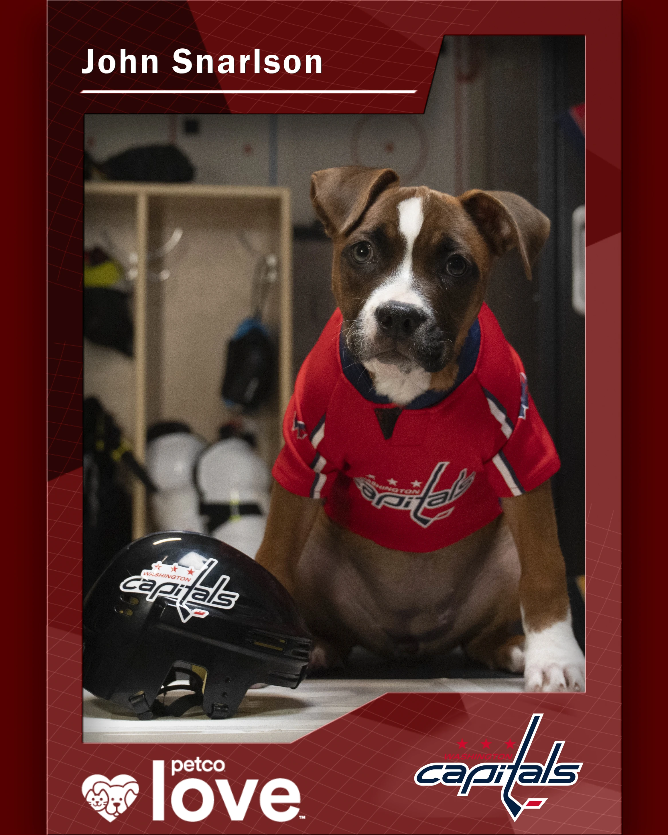 Stanley Pup Chelsea aka John Snarlson player card front