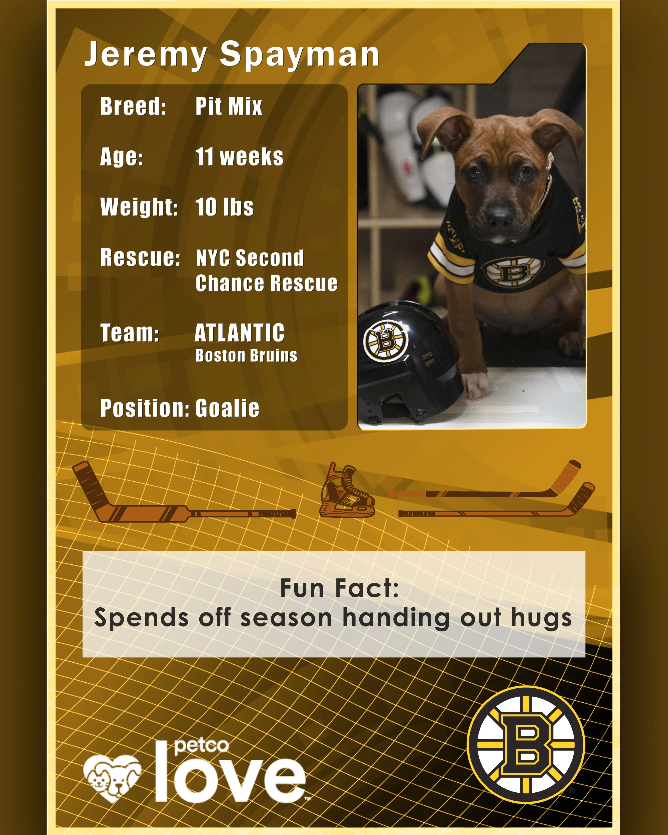 Stanley Pup Trinity aka Jeremy Spayman player card back