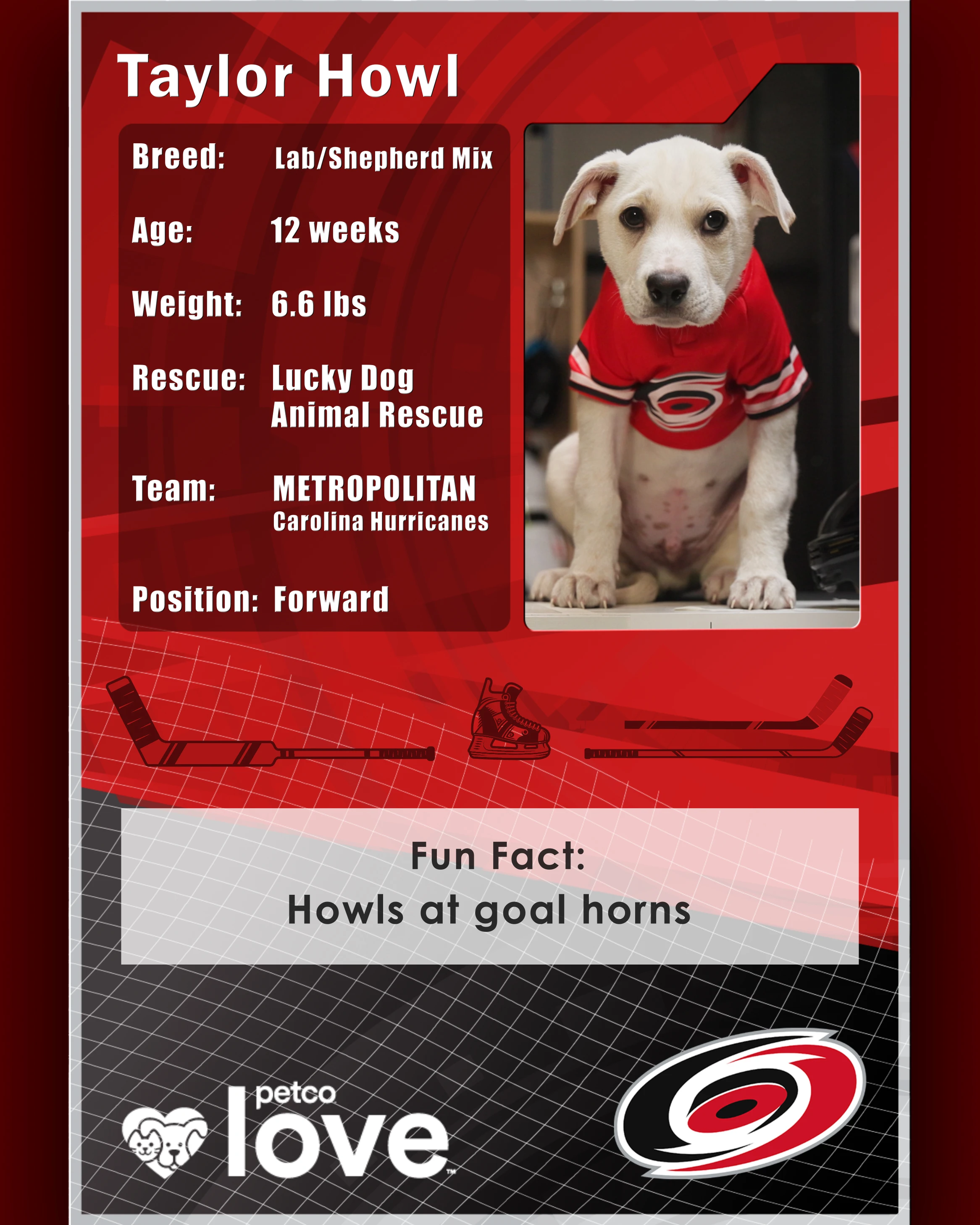 Stanley Pup Perry aka Taylor Howl player card back