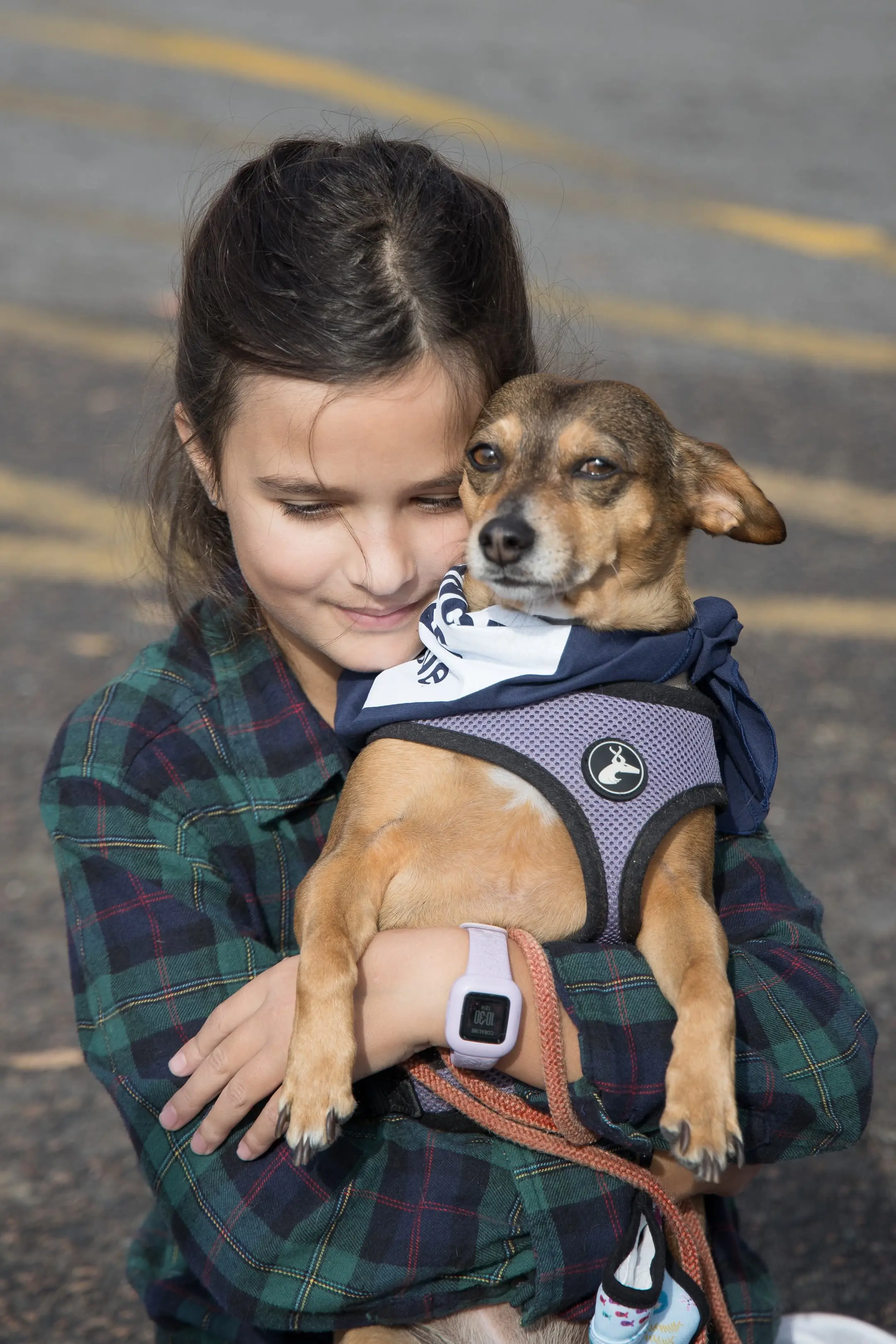 Image of Adopted Dog Helps Young Adopter Beat the Sleepless Nights