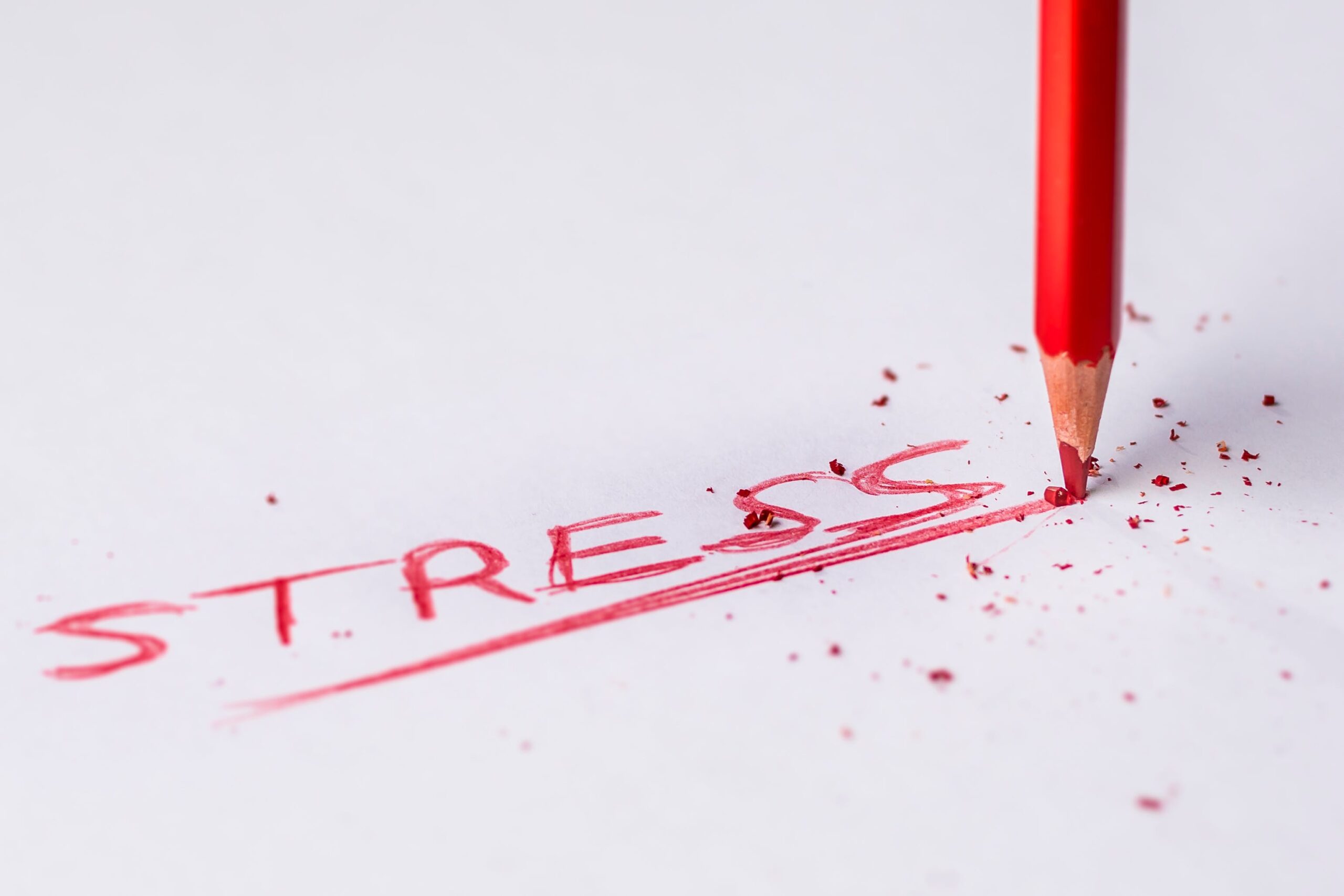 Balancing Act: Effective Stress Management for Busy Lives Blog Image
