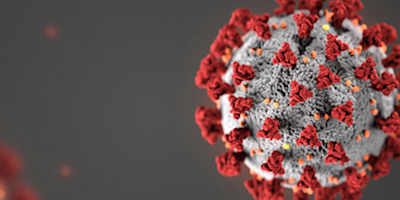 Coronavirus (COVID-19) Business Update