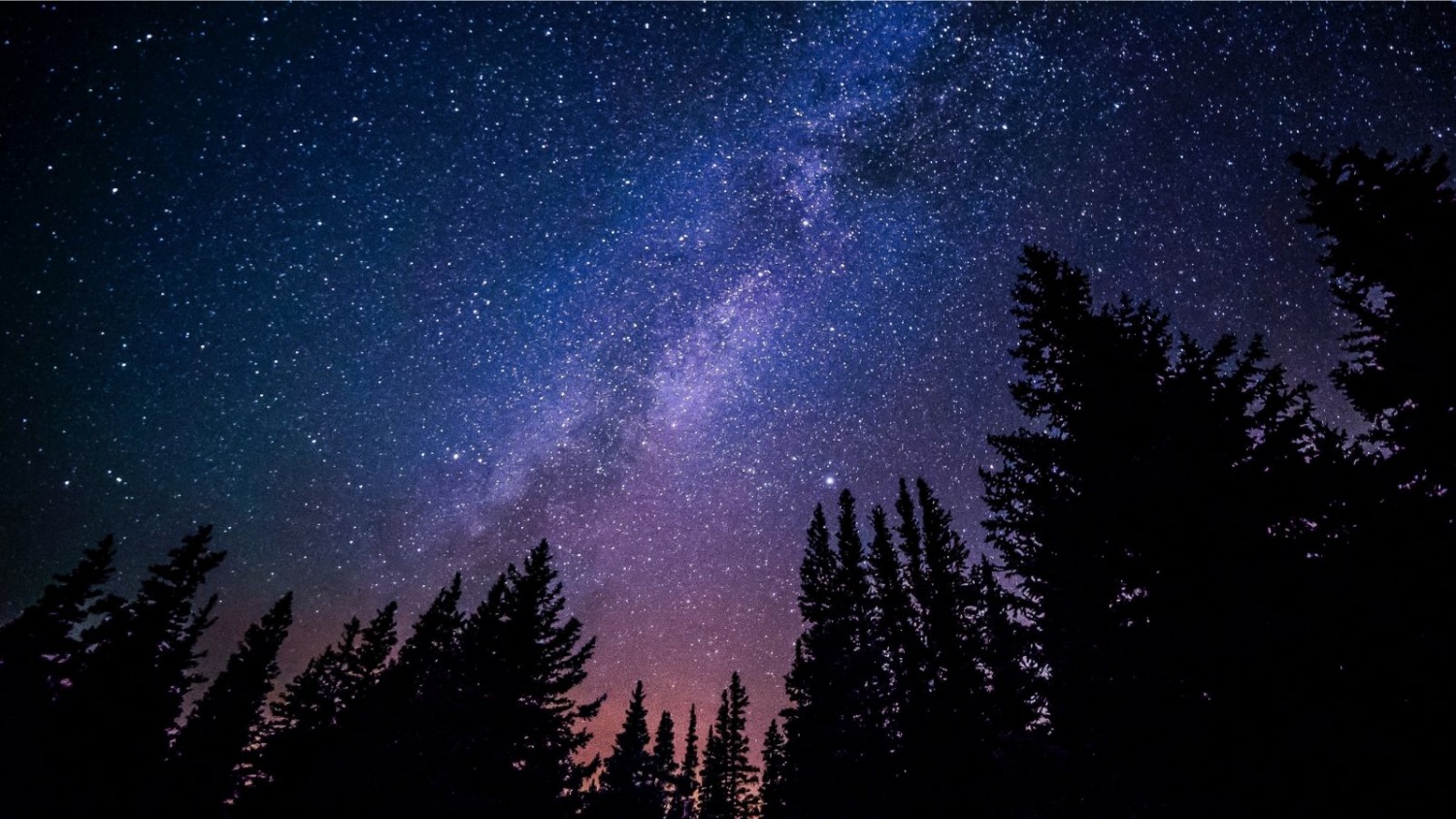 Starry night with trees for energy saving tips based on Zodiac signs