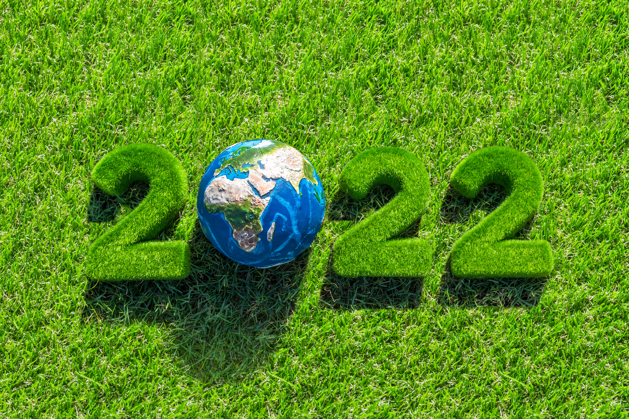 2022 eco-friendly New Year's resolutions