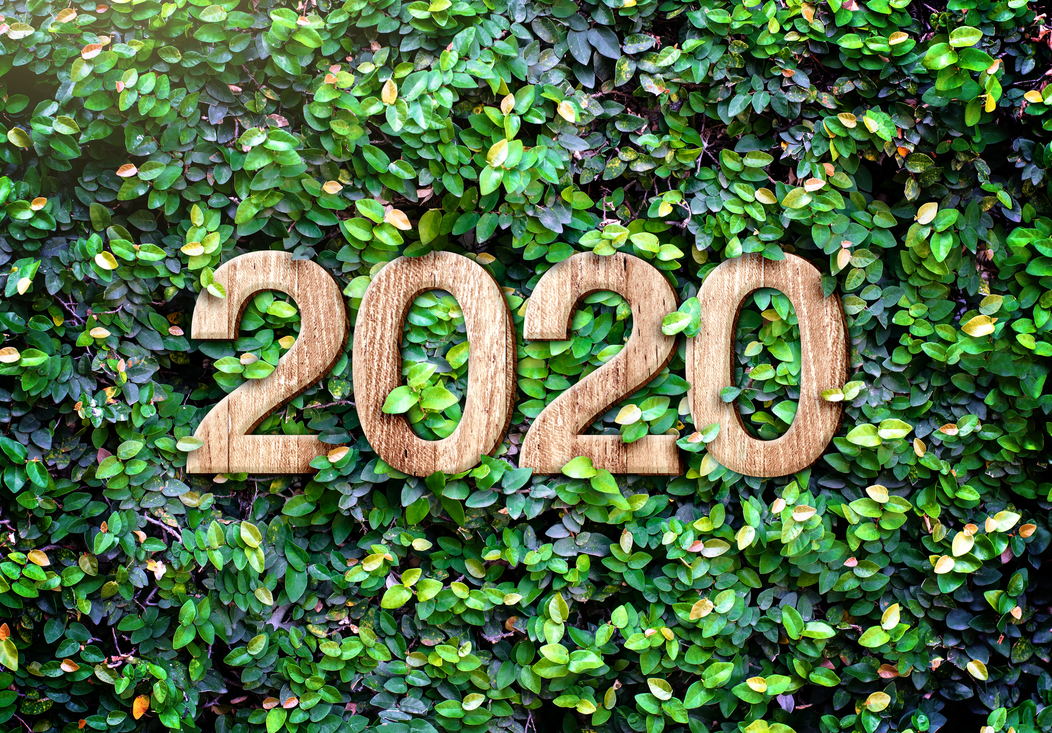 wooden 2020 numbers in ivy