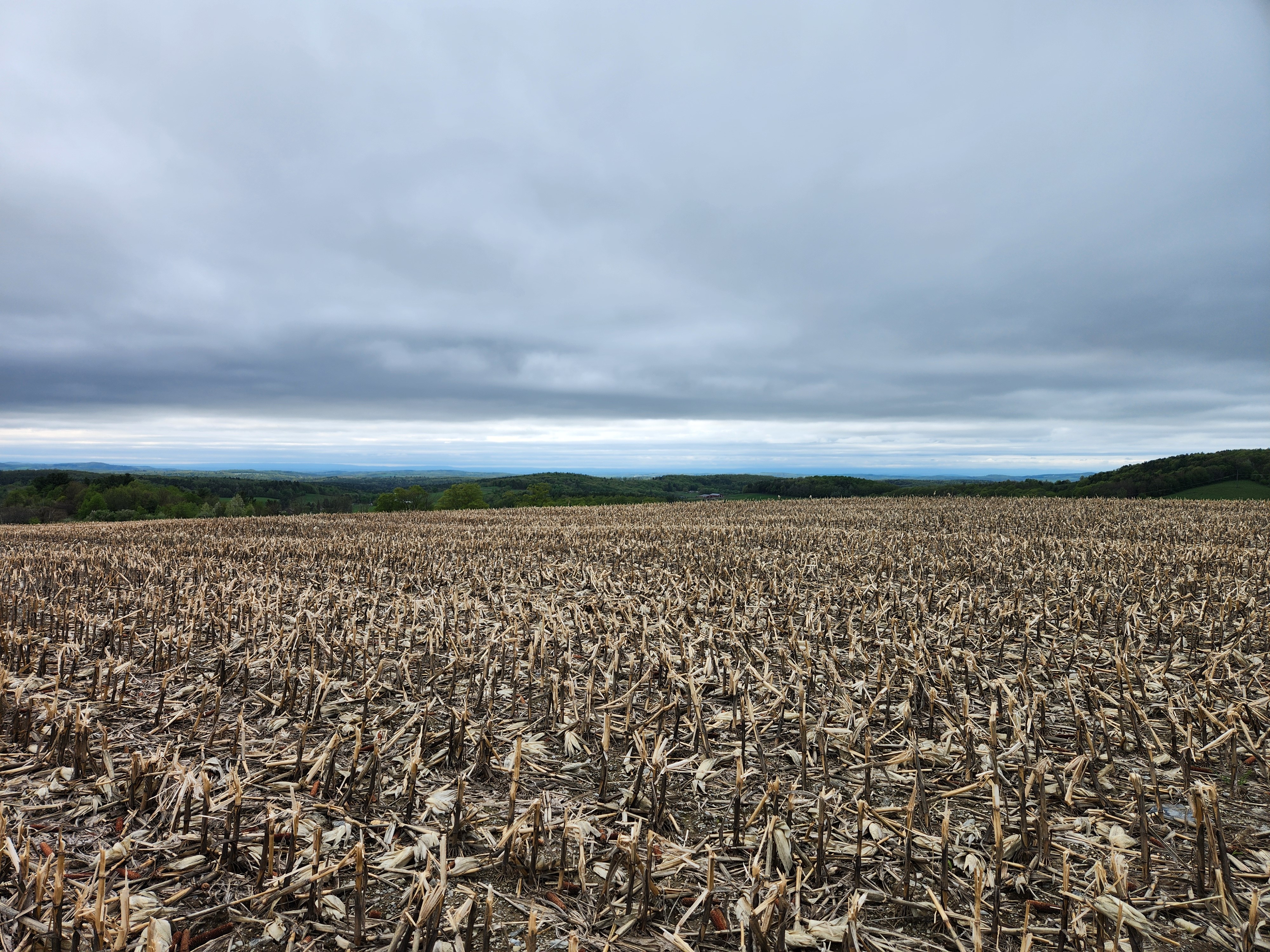 A photo of the future site of our Hawthorn Solar Farm