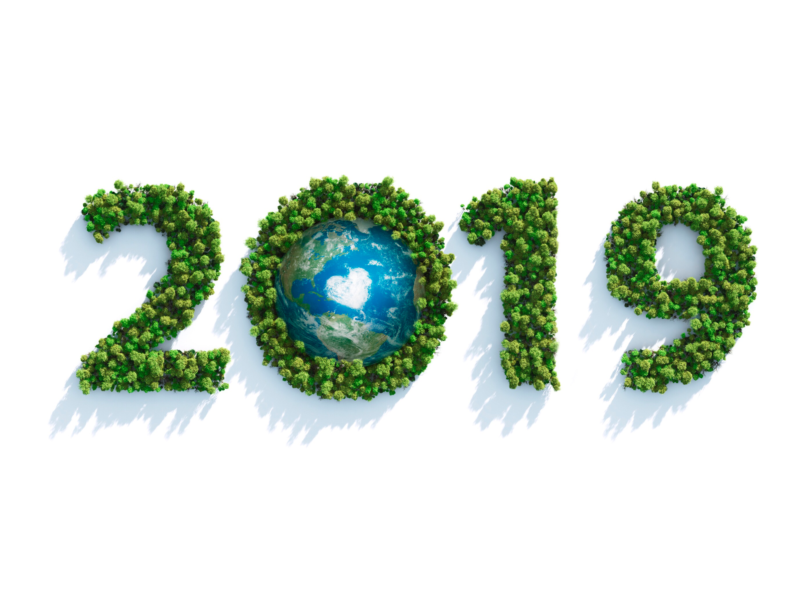 2019 spelled out with trees