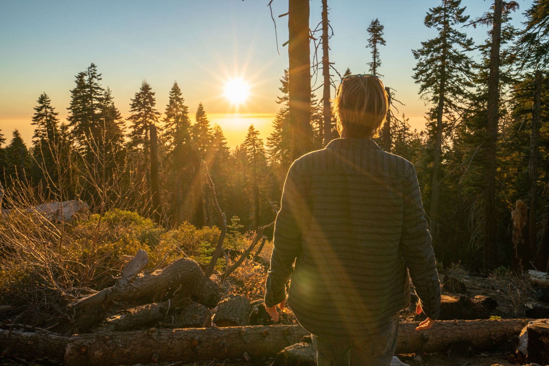 Man watching sunset in a forest