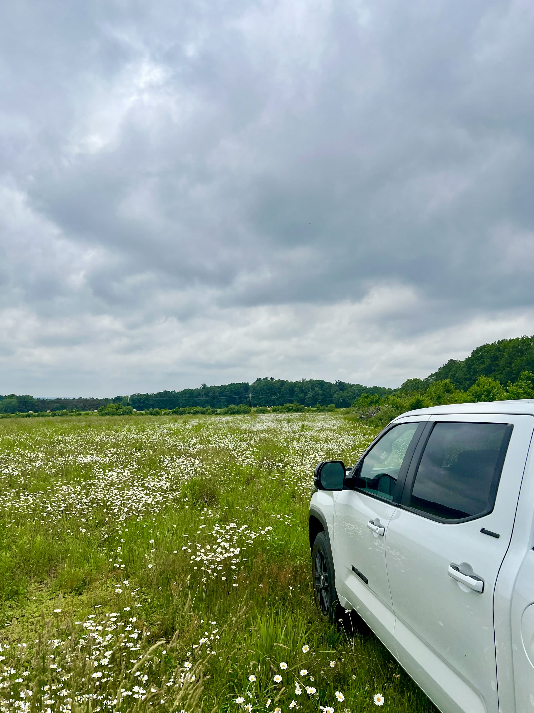 Kylertown solar farm