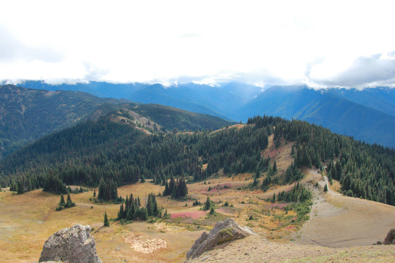 Olympic National Park