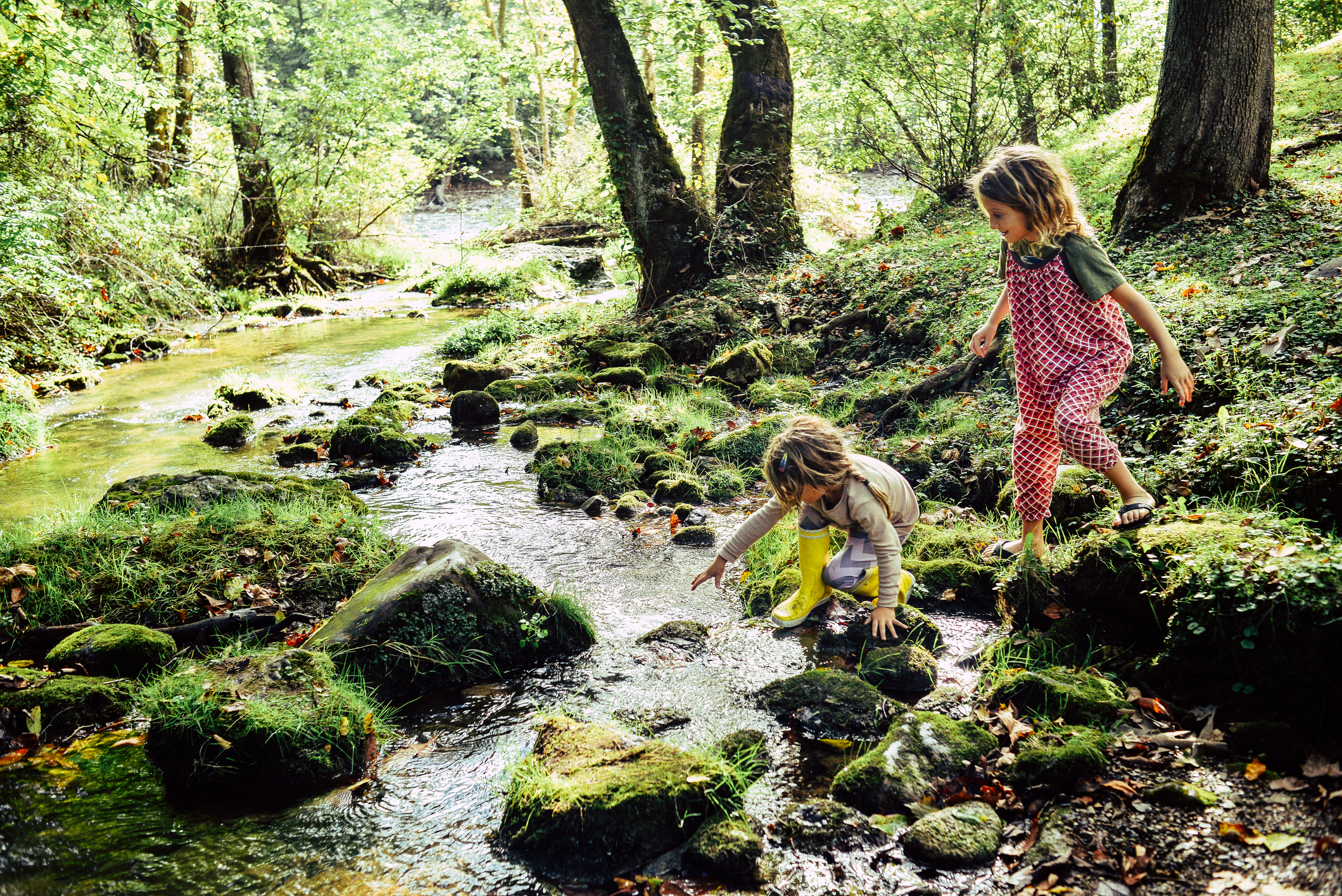 Children playing in a creek, exploring nature and the environment