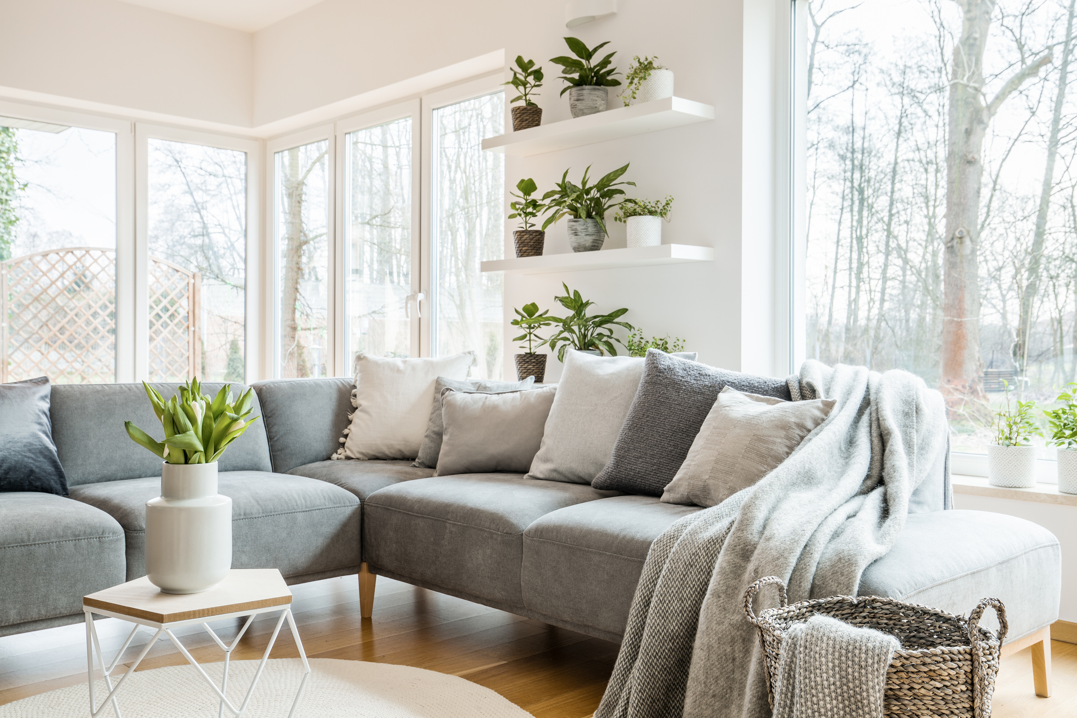 A bright living room with house plants.