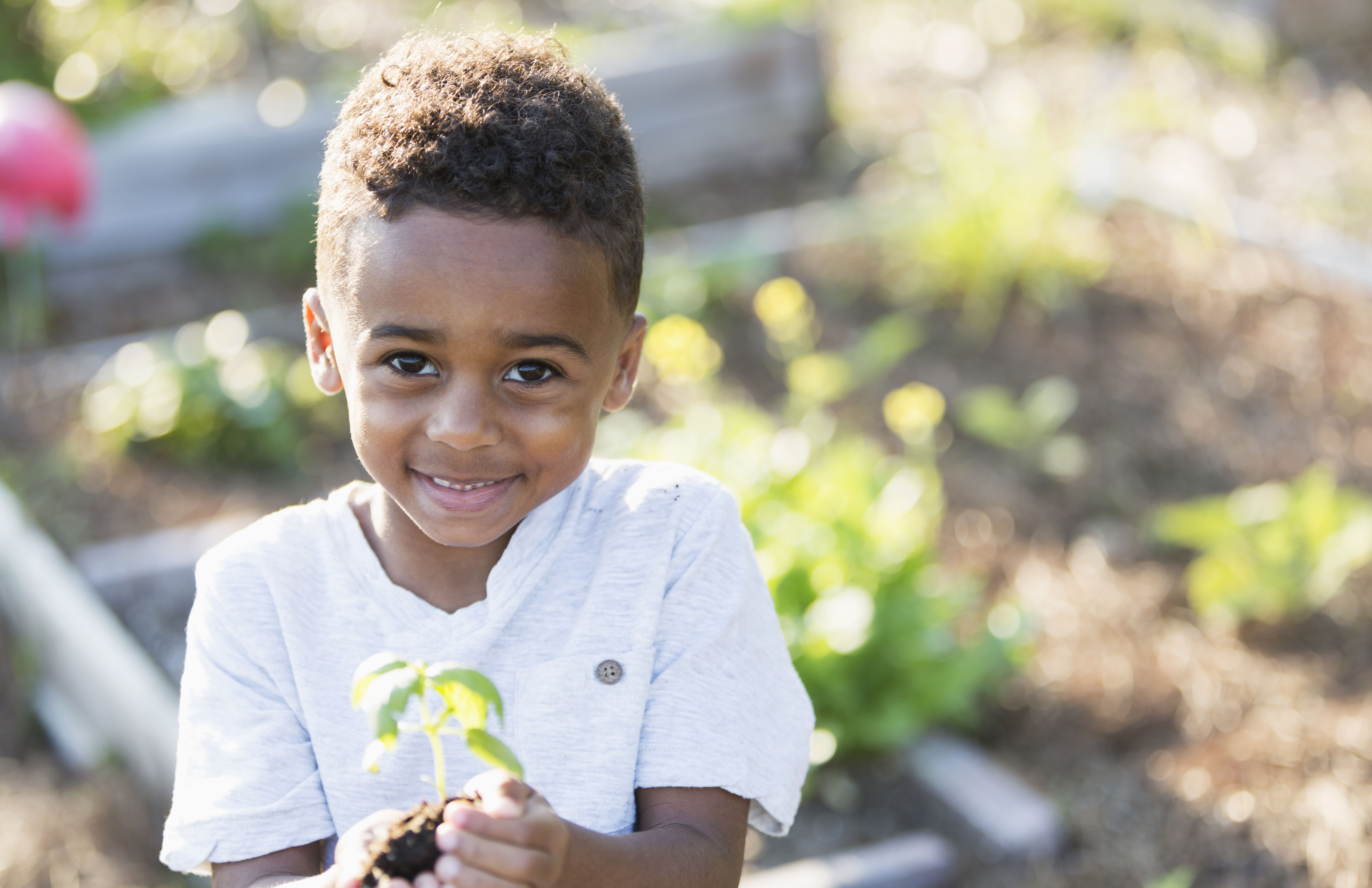 child holding tree sapling