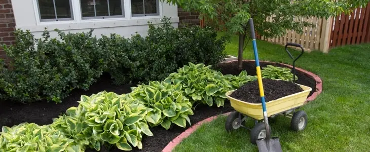 Beautify Your Lawn on a Budget
