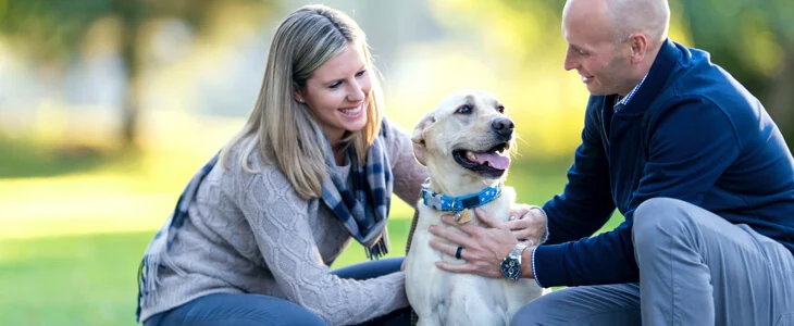 Tips to Care for Your Pet on a Budget