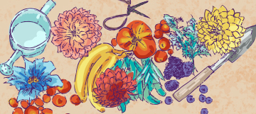 How To Grow Your Garden Without Killing Your Budget
