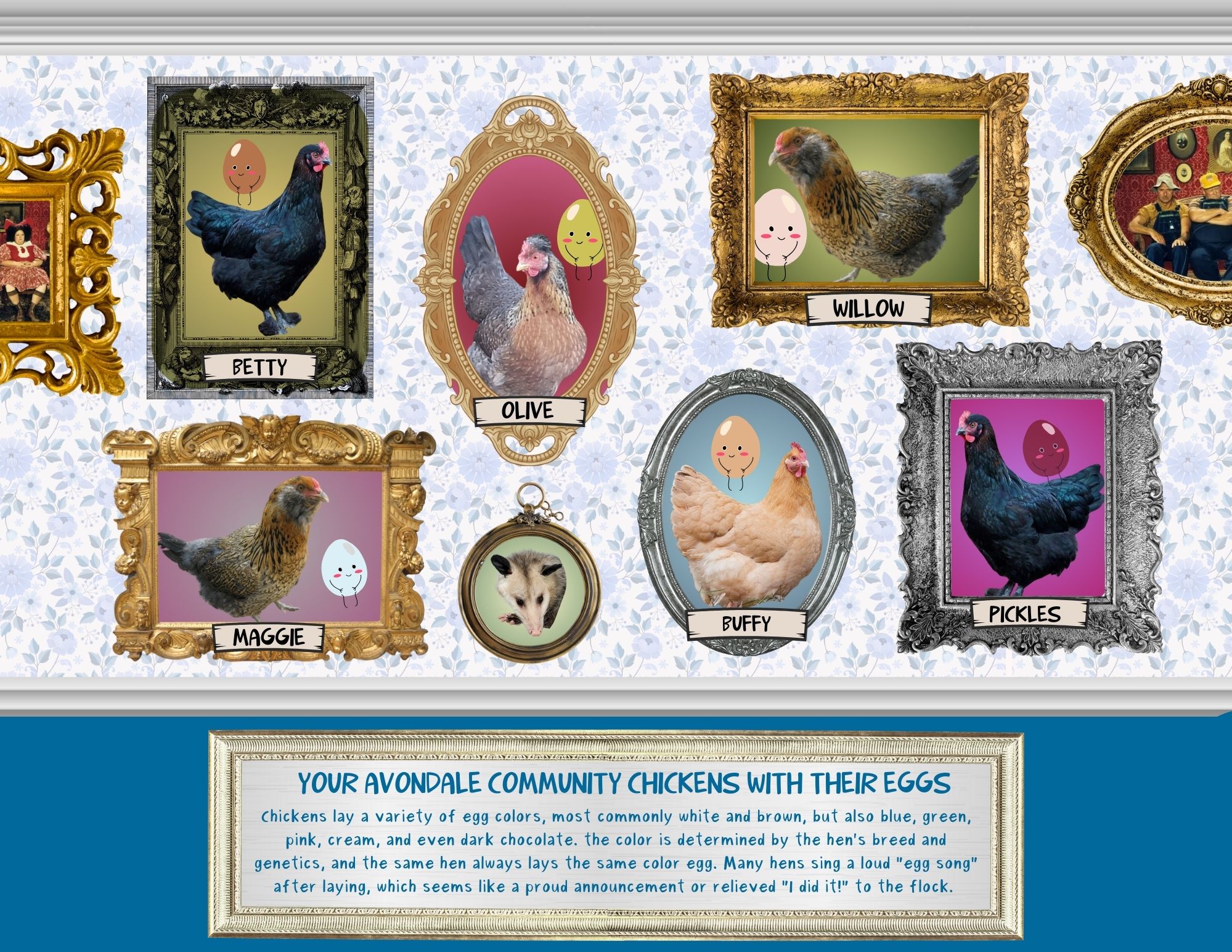 chicken portraits