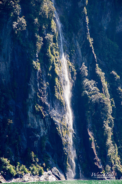 Milford Sound's Silver Thread