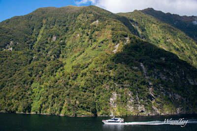 A Cliffside Cruise