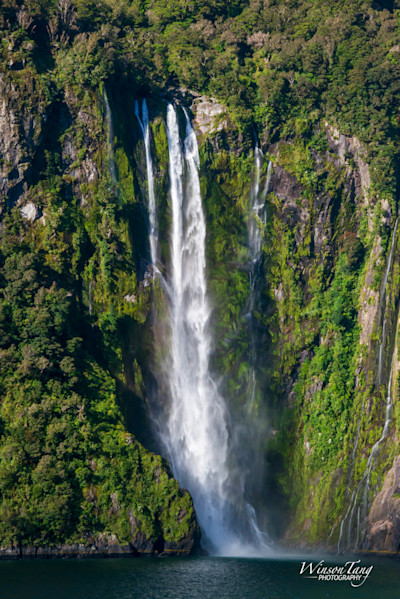 A New Zealand Icon