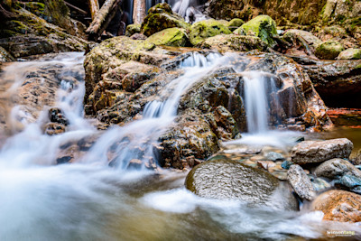 Winter's Grace on Mosquito Creek